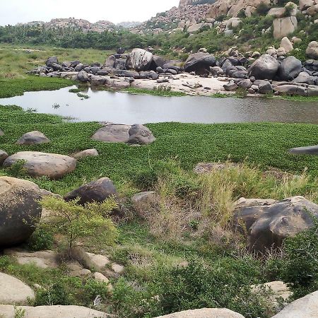 Riverside Homestay Hampi Exterior photo