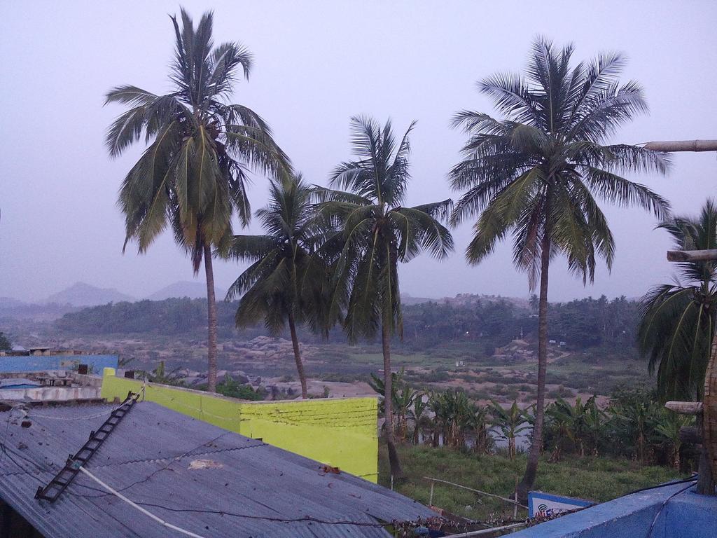 Riverside Homestay Hampi Exterior photo